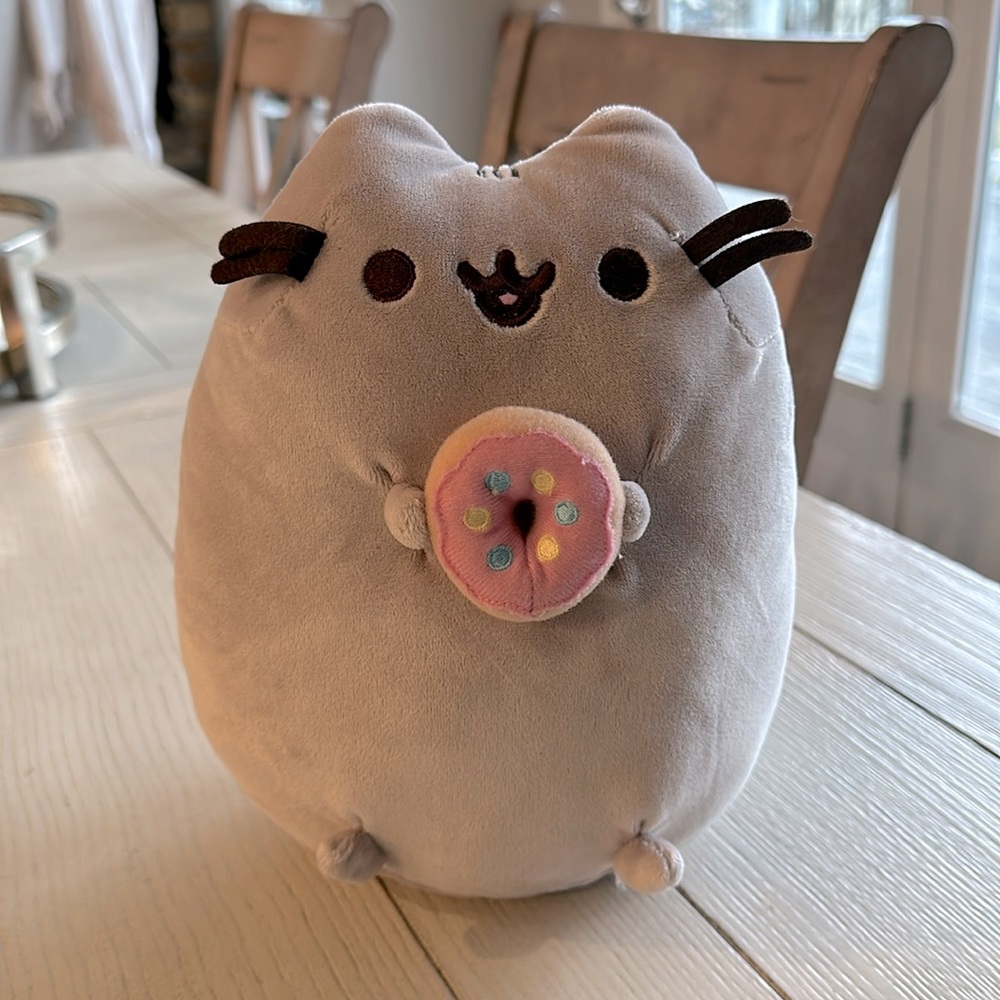 Pusheen with Donut